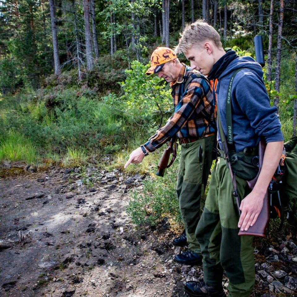 – Se her, her har hjorten vært, sier Runar Rugtvedt (t.v.). Fem sekunder seinere snur Mattis Fjeldvik Lorentzen (t.h.) seg, og oppdager en elg ikke langt unna. Men foreløpig er det bare hjortejakt som pågår. – Se her, her har hjorten vært, sier Runar Rugtvedt (t.v.). Fem sekunder seinere snur Mattis Fjeldvik Lorentzen (t.h.) seg, og oppdager en elg ikke langt unna. Men foreløpig er det bare hjortejakt som pågår.
