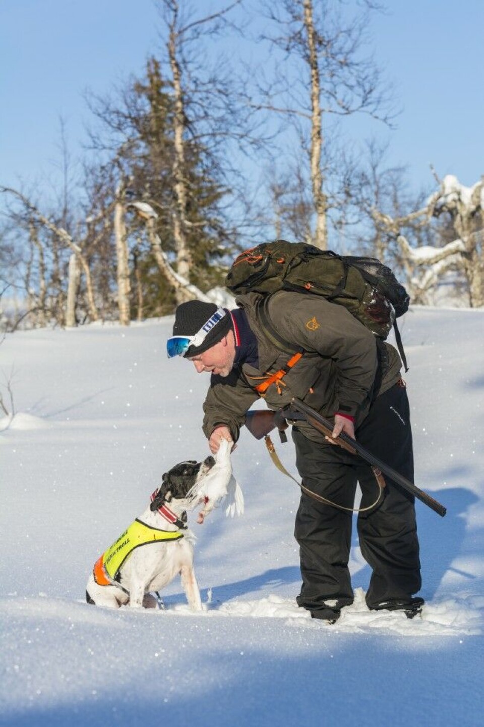 Stolt hund hem til «far». Stolt hund hem til «far».