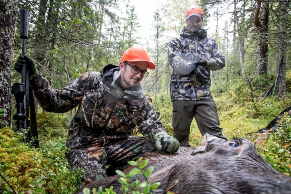 En jegers gylne øyeblikk! Da kviga finnes livløs i lyngen et stykke unna, kan Mats Thorsvik slippe adrenalinet løs, med glede, stolthet og lettelse. Bak jaktleder Morten Pedersen. En jegers gylne øyeblikk! Da kviga finnes livløs i lyngen et stykke unna, kan Mats Thorsvik slippe adrenalinet løs, med glede, stolthet og lettelse. Bak jaktleder Morten Pedersen.