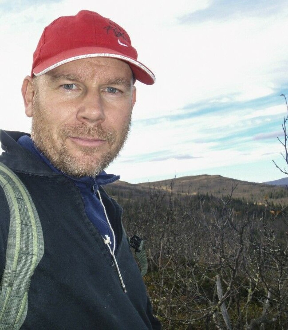 Rådgiver Torgeir Lande i NFS melder om udelt positive erfaringer fra fjellstyrene som har åpnet for salg av dagskort på Rådgiver Torgeir Lande i NFS melder om udelt positive erfaringer fra fjellstyrene som har åpnet for salg av dagskort på