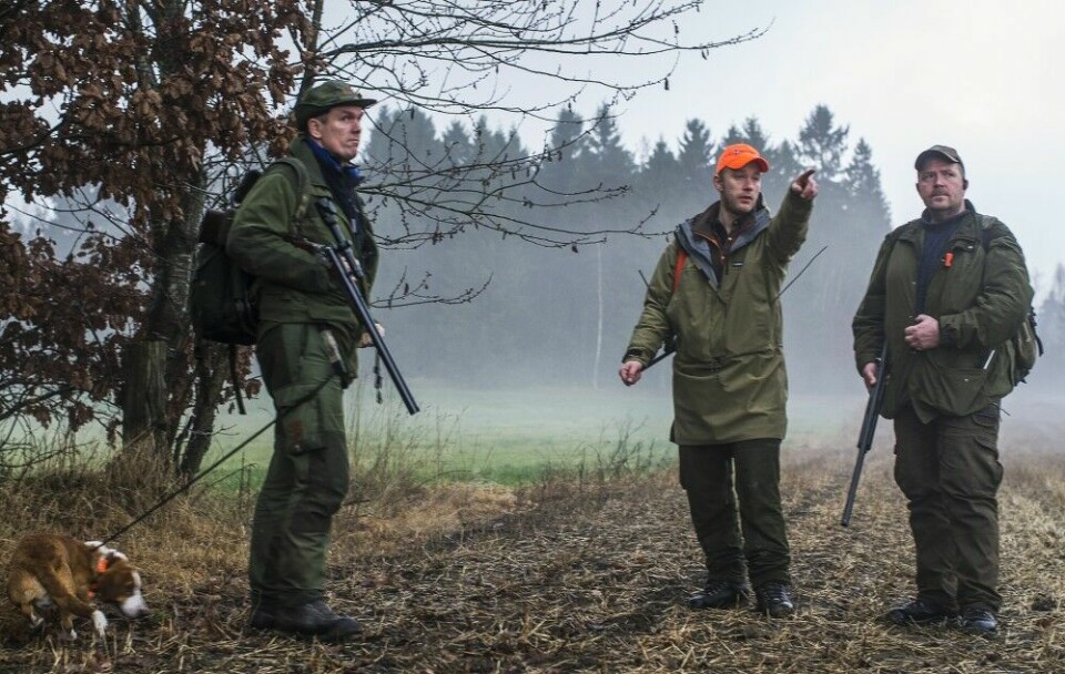 Jens Martin legger taktikken for desemberdagens siste økt med jaktleder Jan Henry Vik og Svein Magne Terjesen.