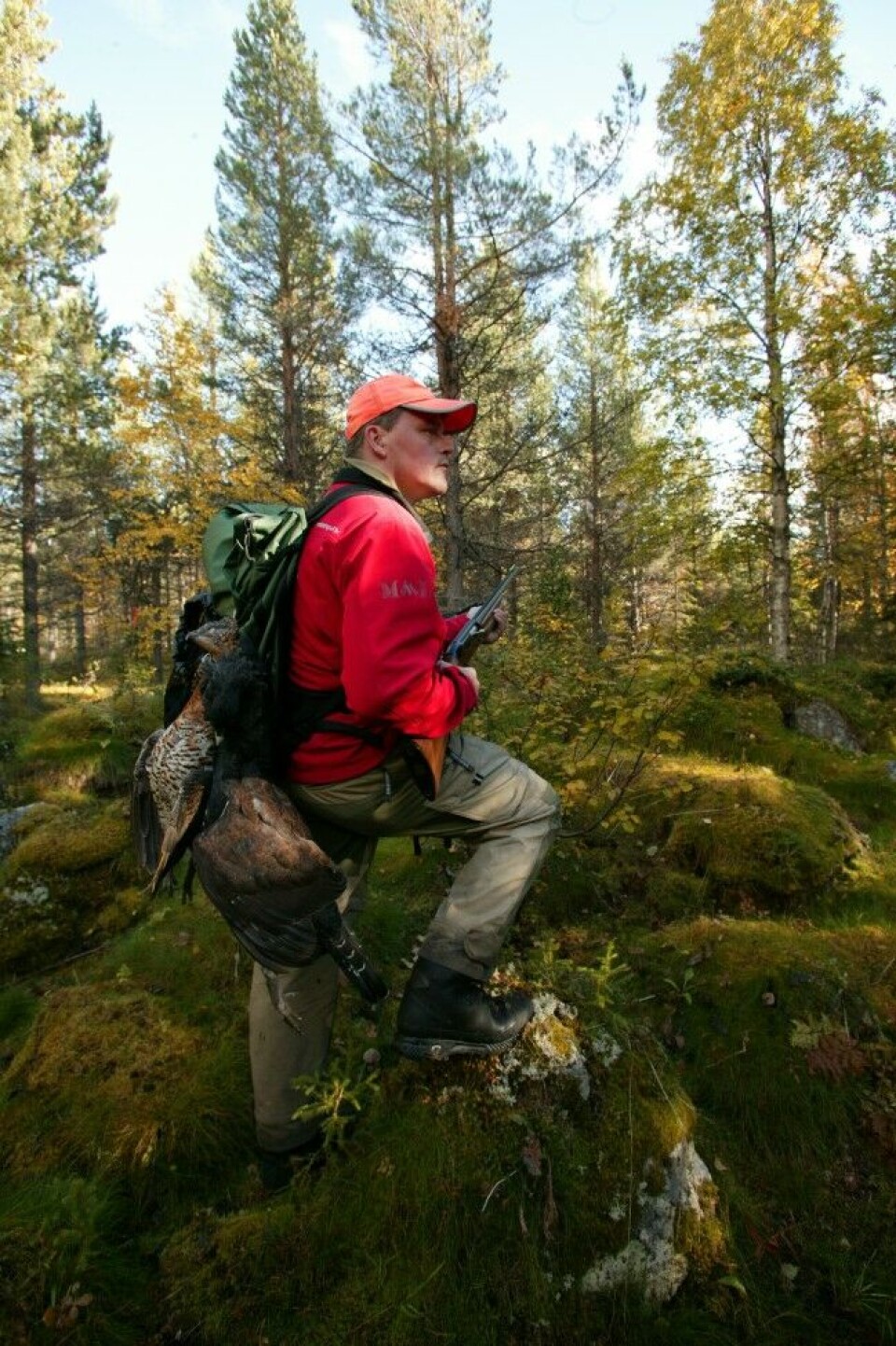 Jaktopplevelser kan så visst måles i mer enn kilo slakt på låven eller antall fugl på sekken. Men det ligger unektelig en ekstra tilfredsstillelse i å lykkes med strategien og få med seg noe hjem. Jaktopplevelser kan så visst måles i mer enn kilo slakt på låven eller antall fugl på sekken. Men det ligger unektelig en ekstra tilfredsstillelse i å lykkes med strategien og få med seg noe hjem.