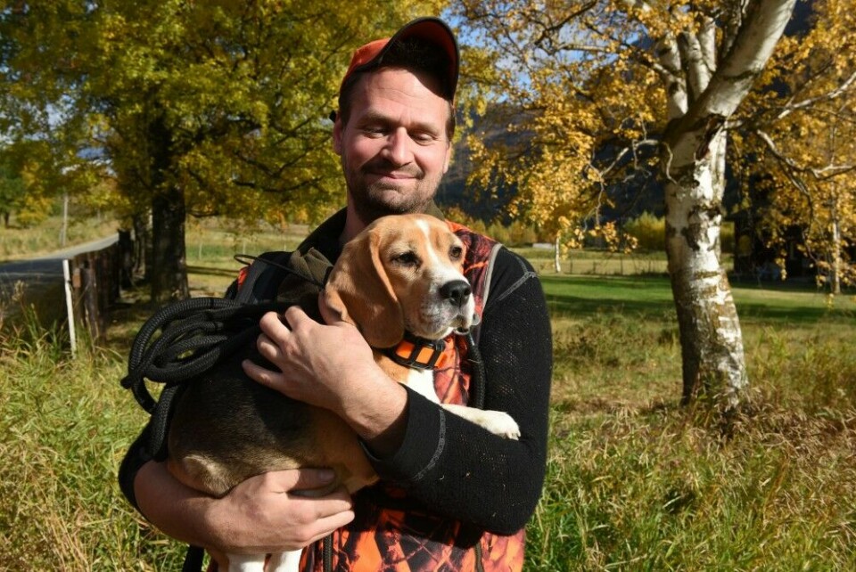 Øyvind Krøkje har stor glede av beaglen Bella i hjortejakta.