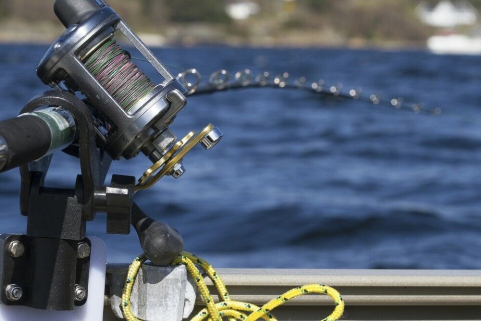 Blyliner har vært stort i USA i mange år. I Norge har kobbertråden hatt samme jobben, men siden blyliner kan brukes direkte på en fiskesnelle, spås disse å overta for kobbersnørene etter hvert. En av fordelene med slike er at de følger båten og gir liten motstand i vannet. Blyliner har vært stort i USA i mange år. I Norge har kobbertråden hatt samme jobben, men siden blyliner kan brukes direkte på en fiskesnelle, spås disse å overta for kobbersnørene etter hvert. En av fordelene med slike er at de følger båten og gir liten motstand i vannet.