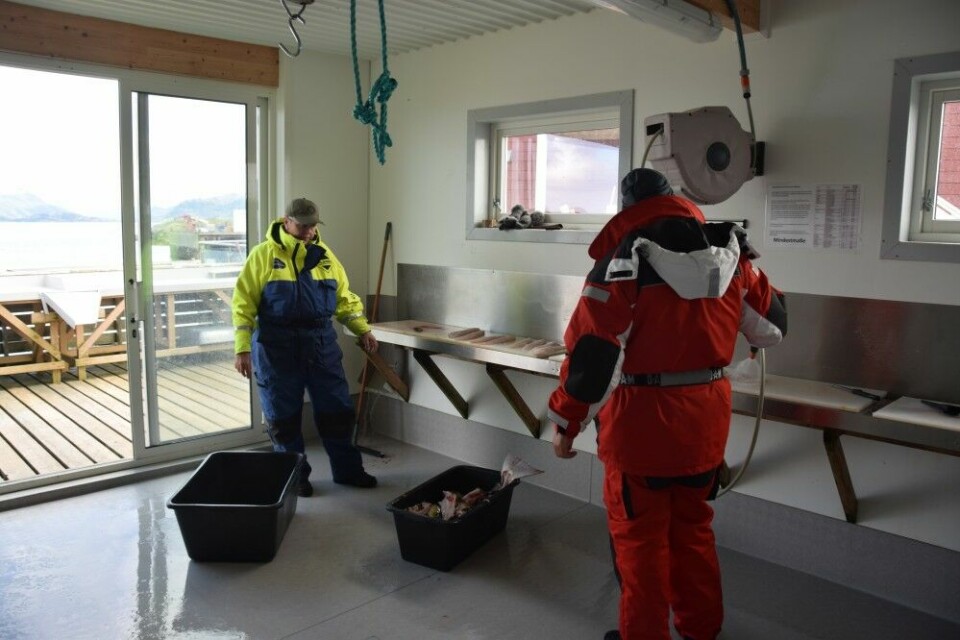 Bolga Brygge byr på alt av fasiliteter for fiskere som vil ha med fangsten hjem.