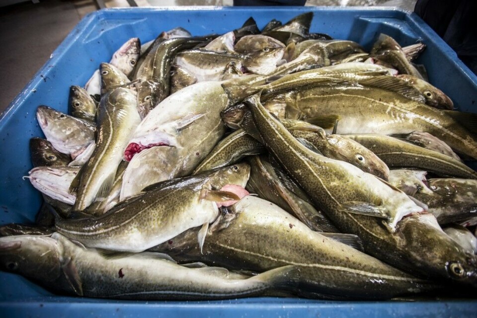 Snart en halv million i bøter for fiskesmugling