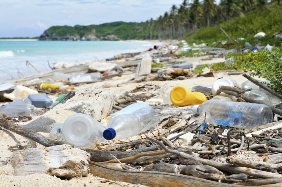 En strand i Karibien er ødelagt av plastforurensing.