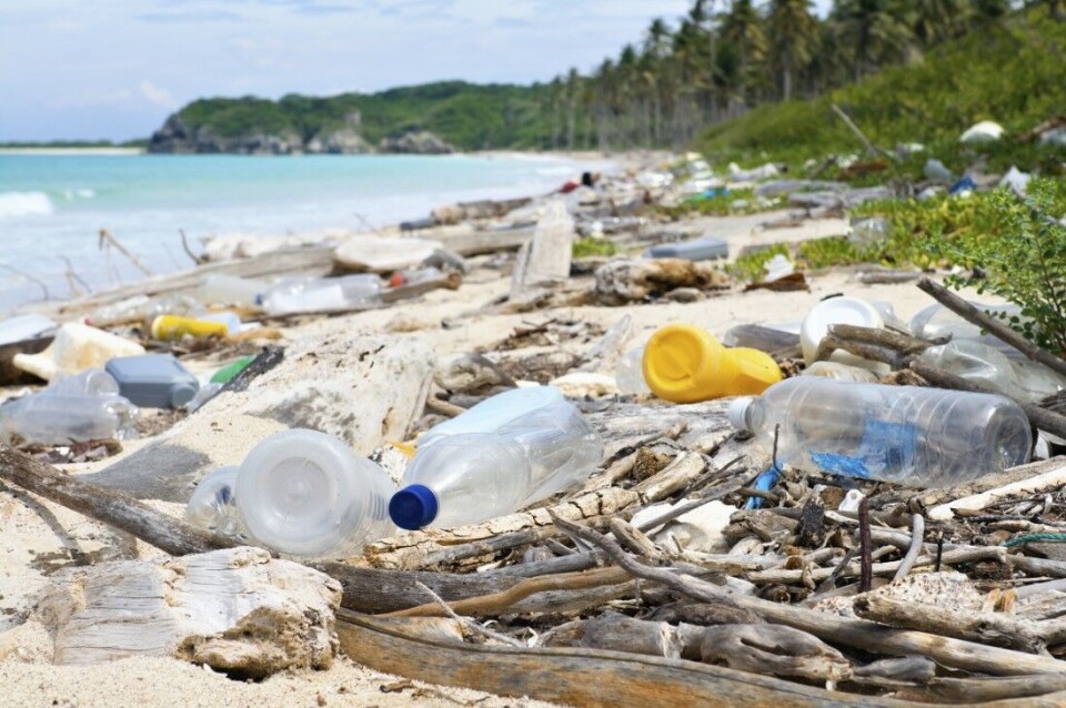 Plastforurensning – en økende trussel mot dyrelivet i verden