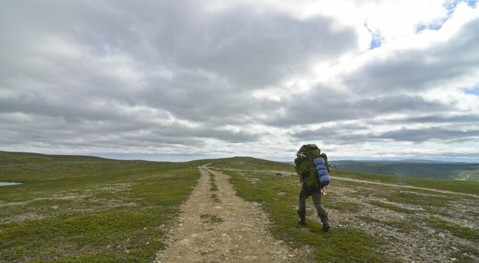 Fra Jotka brukte vi seks timer inn til Stabbursdalsvannet. Terrenget er rimelig lettgått, og stien ble døpt «E6». Fra Jotka brukte vi seks timer inn til Stabbursdalsvannet. Terrenget er rimelig lettgått, og stien ble døpt «E6».