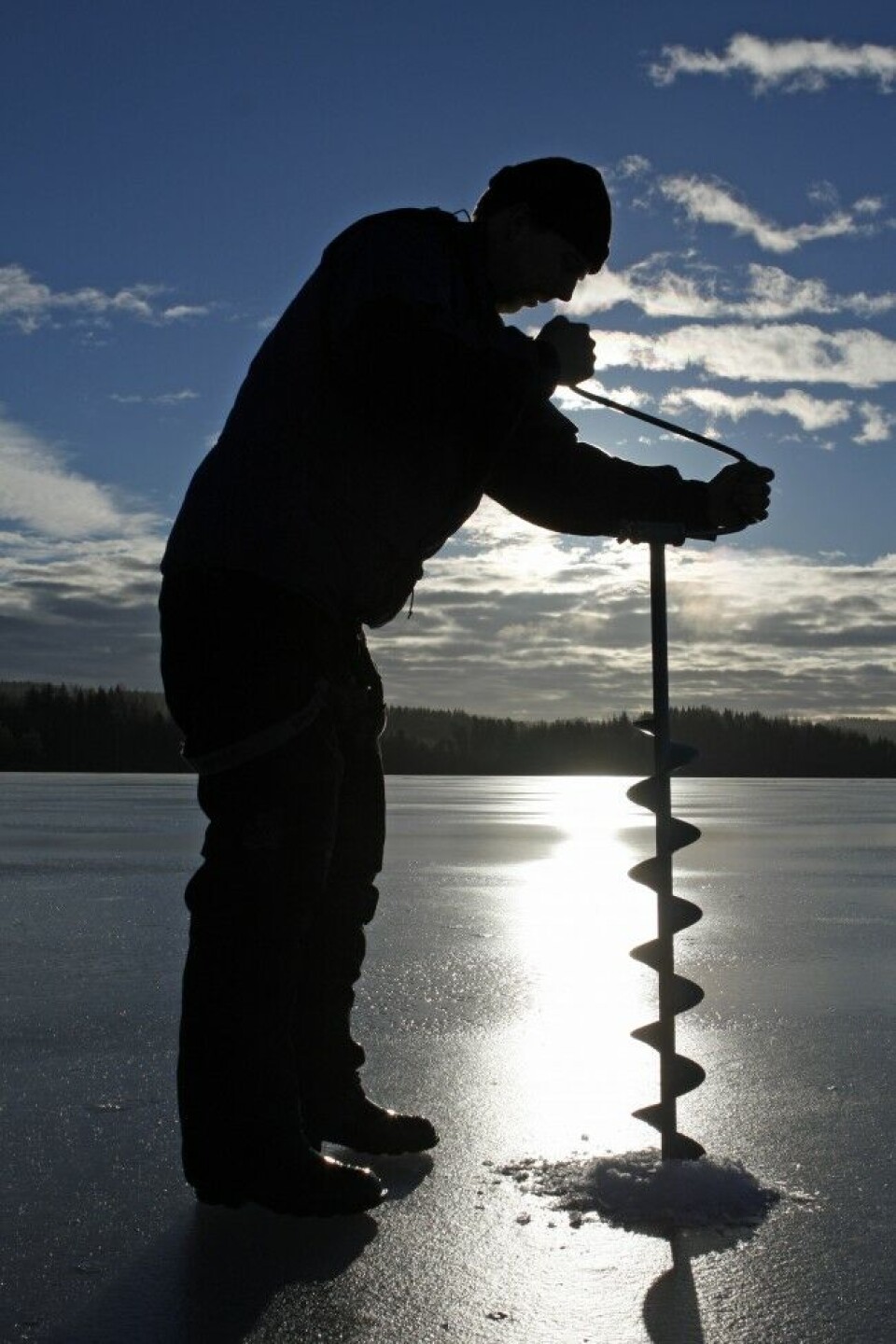 Fem centimeter stålis holder fint en voksen mann. Spenning er stor når det første hullet borres på urørt is. Fem centimeter stålis holder fint en voksen mann. Spenning er stor når det første hullet borres på urørt is.