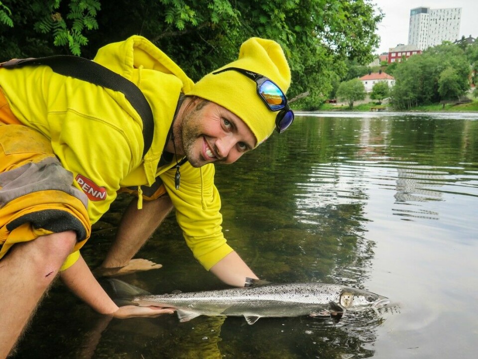 Forsker Bjørn Florø-Larsen ved Veterinærinstituttet håper på din hjelp til å få inn skjellprøver av all avlivet fisk i sommer.