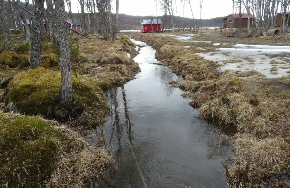 Slik ser det ut etter at elveløpet er rettet ut. Slik ser det ut etter at elveløpet er rettet ut.