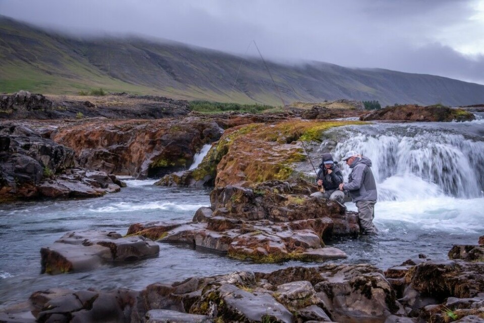 Island er i tillegg til innsjøer som Thingvallavatn fylt av spennende elver med laks, ørret, sjøørret, røye og sjørøye.