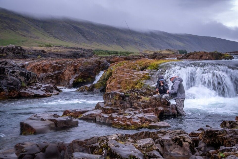 Island er i tillegg til innsjøer som Thingvallavatn fylt av spennende elver med laks, ørret, sjøørret, røye og sjørøye. Island er i tillegg til innsjøer som Thingvallavatn fylt av spennende elver med laks, ørret, sjøørret, røye og sjørøye.
