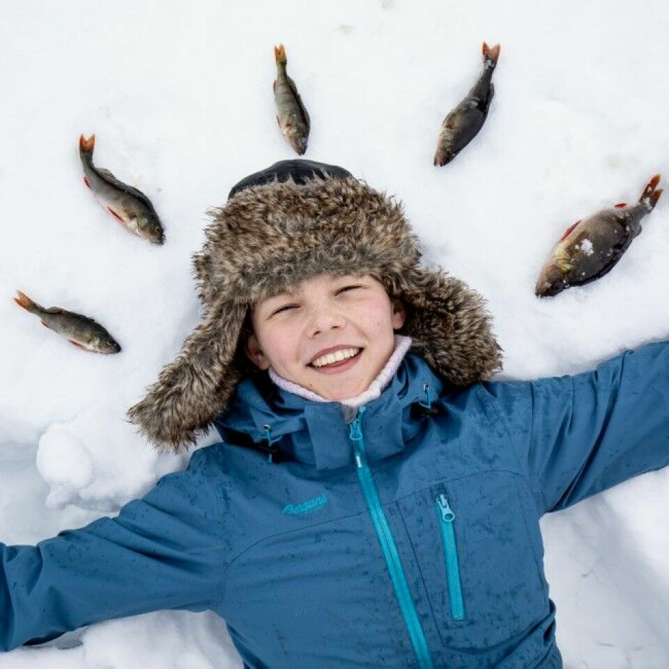 Theo Holden Søgaard (13) fra Vikersund har sportsfiske som sin store hobby. Det går i isfiske om vinteren, flue- og slukfiske om sommeren.