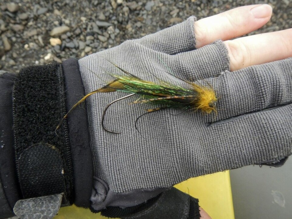 Det går noen kjemper i denne elva. En av dem maltrakterte flua til artikkelforfatteren. Det går noen kjemper i denne elva. En av dem maltrakterte flua til artikkelforfatteren.