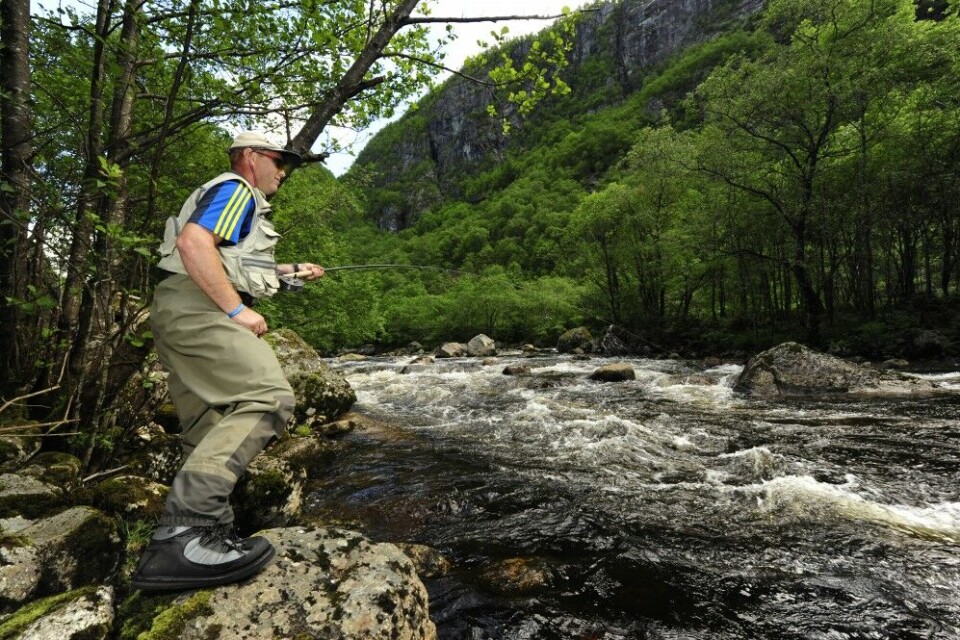 Fast fisk! Juni er beste fiskemåneden i viltre Vorma, og i 2017- sesongen var det storlaksår. Fast fisk! Juni er beste fiskemåneden i viltre Vorma, og i 2017- sesongen var det storlaksår.