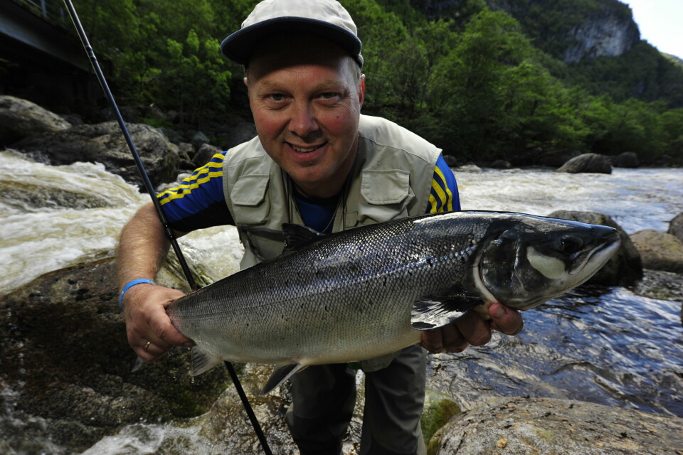 Fiskeutvalgsleder John Birkeland forteller at de fisker fra Osen og 1,5 km oppover elva. Også han karakteriserer laksefisket i Vorma som ekstremt.