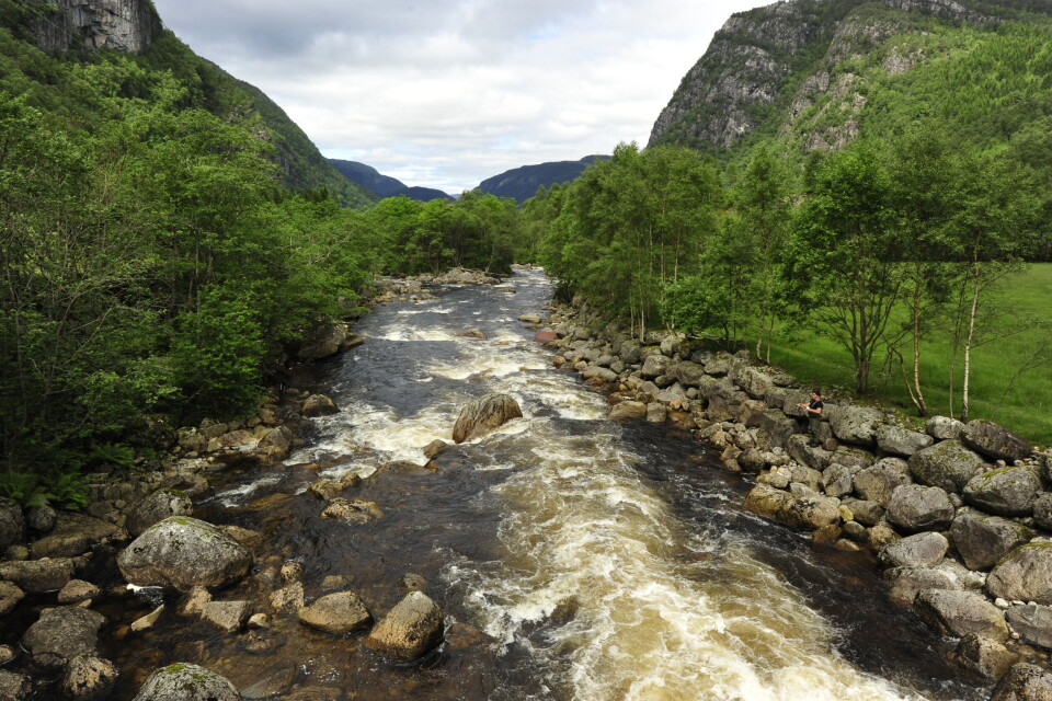 Det tas alltid laks på Vigemoen. Det tas alltid laks på Vigemoen.