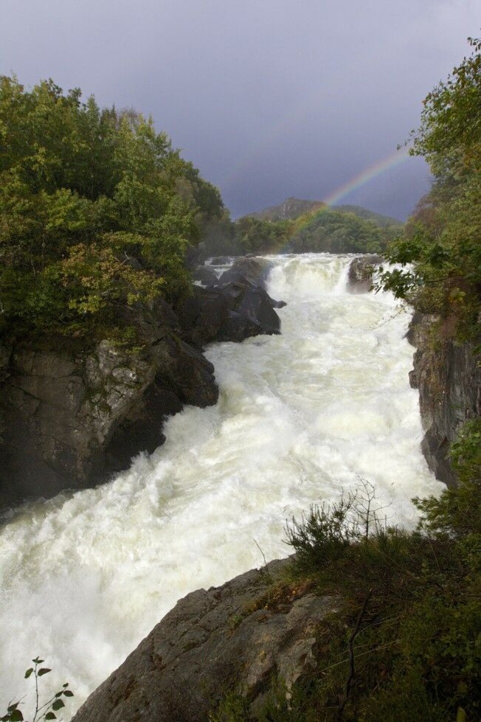 I løpet av et døgn i august passerte 1306 laks laksetrappa i den 16 meter høye Fotlandsfossen i Bjerkreimselva i Rogaland. I løpet av et døgn i august passerte 1306 laks laksetrappa i den 16 meter høye Fotlandsfossen i Bjerkreimselva i Rogaland.
