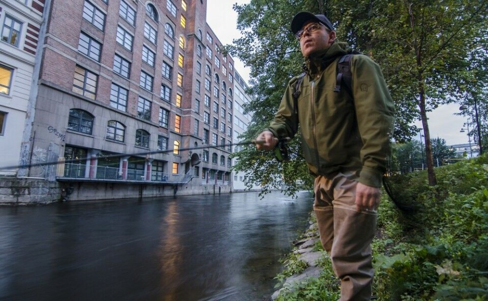 Når fiskedøgnet starter, er Oslo på sitt fredeligste. Når fiskedøgnet starter, er Oslo på sitt fredeligste.