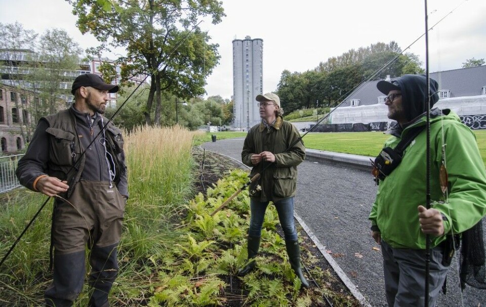 Rett fra jobb til middagsjakt – hvem trenger Mathallen, når man har Akerselva? Rett fra jobb til middagsjakt – hvem trenger Mathallen, når man har Akerselva?