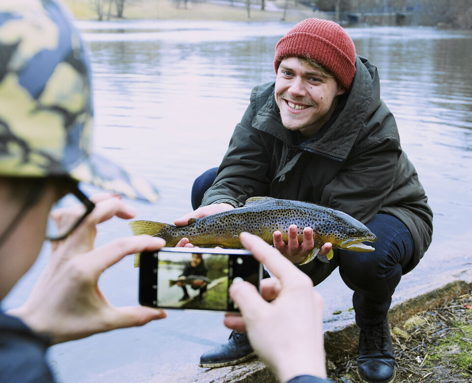 Før fisken slippes ut skal det fotograferes og postes på sosiale medier. Her er det Herman Fjøss som står for forevigelsen. Før fisken slippes ut skal det fotograferes og postes på sosiale medier. Her er det Herman Fjøss som står for forevigelsen.