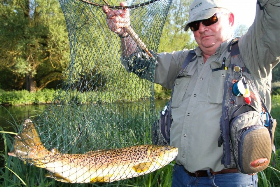 Neil Freeman med en flott ørret fra Broadlands Estate. Neil Freeman med en flott ørret fra Broadlands Estate.
