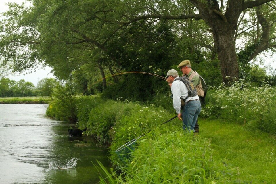De riktig nostalgiske benytter splitcane stenger i River Test. De riktig nostalgiske benytter splitcane stenger i River Test.