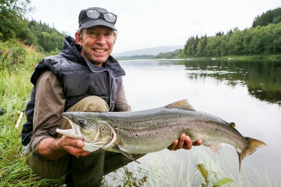 Fjorårssesongen var begredelig i mange av landets lakseelver, men den trønderske kjempen leverte også i 2018, med mer enn 1000 storlakser (over 7 kilo) på land. Fjorårssesongen var begredelig i mange av landets lakseelver, men den trønderske kjempen leverte også i 2018, med mer enn 1000 storlakser (over 7 kilo) på land.