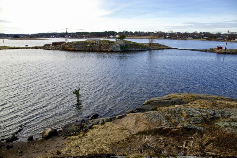 Trange sund og kanaler, er effektive fiskeplasser. Trange sund og kanaler, er effektive fiskeplasser.