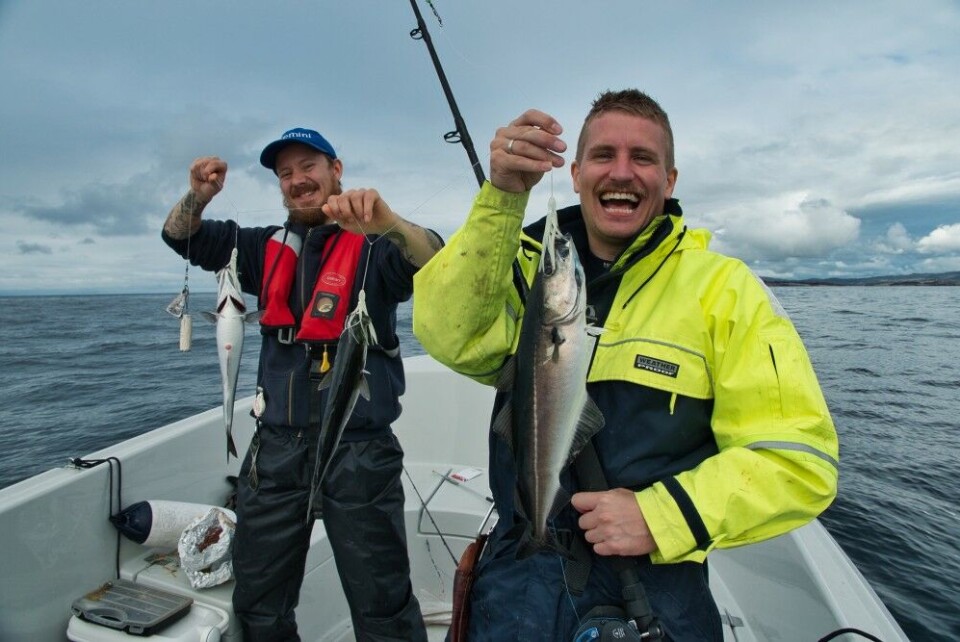 Små blekkspruter i selvlysende grønn eller andre sterke farger i hekleformat, er populært til alt fiske langs kysten. Her har to glade gutter fått full seihekle i dypet på utsiden av Os i Hordaland. Små blekkspruter i selvlysende grønn eller andre sterke farger i hekleformat, er populært til alt fiske langs kysten. Her har to glade gutter fått full seihekle i dypet på utsiden av Os i Hordaland.