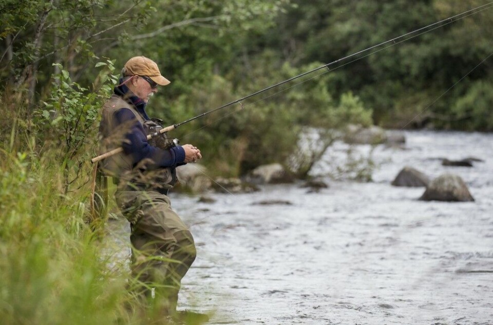 Fiskeguide Trond Andersson forbereder fiskeøkta i Teigehølen, en av kjentmannens favoritthøler i Holselva. Fiskeguide Trond Andersson forbereder fiskeøkta i Teigehølen, en av kjentmannens favoritthøler i Holselva.