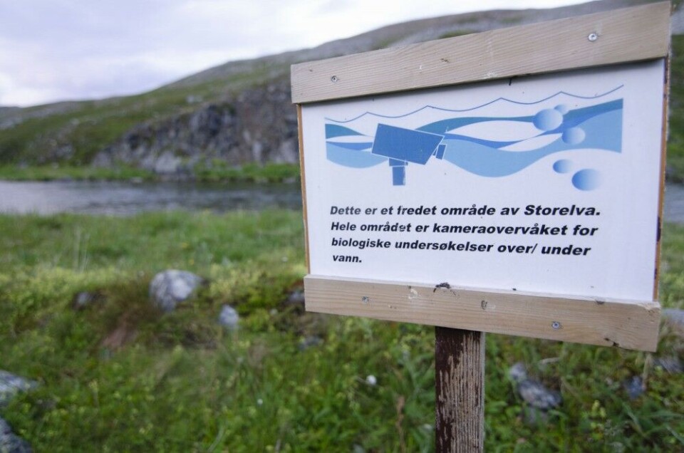 Tjuvfiskere er Tjuvfiskere er