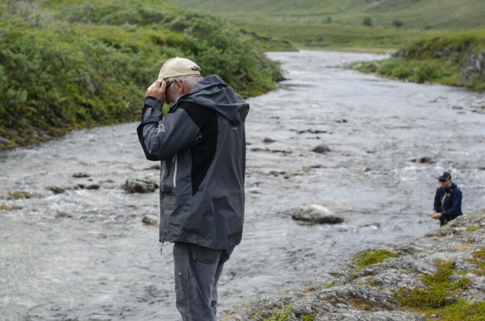 Foreningslederen speider etter fisk. Noen steder kan det lønne seg å fiske to og to. Foreningslederen speider etter fisk. Noen steder kan det lønne seg å fiske to og to.