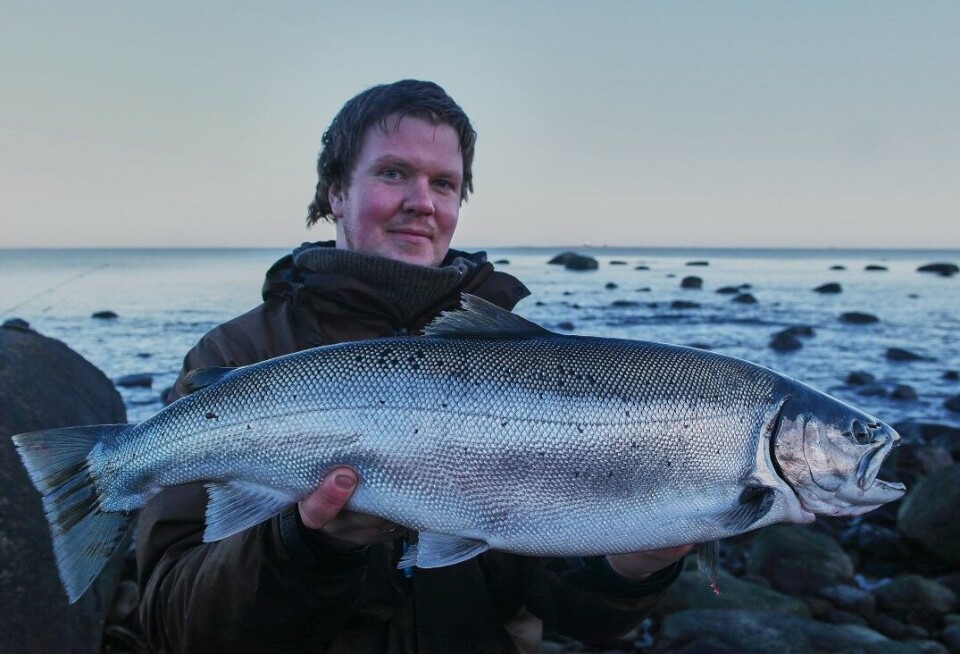 Fem steder for stor sjøørret