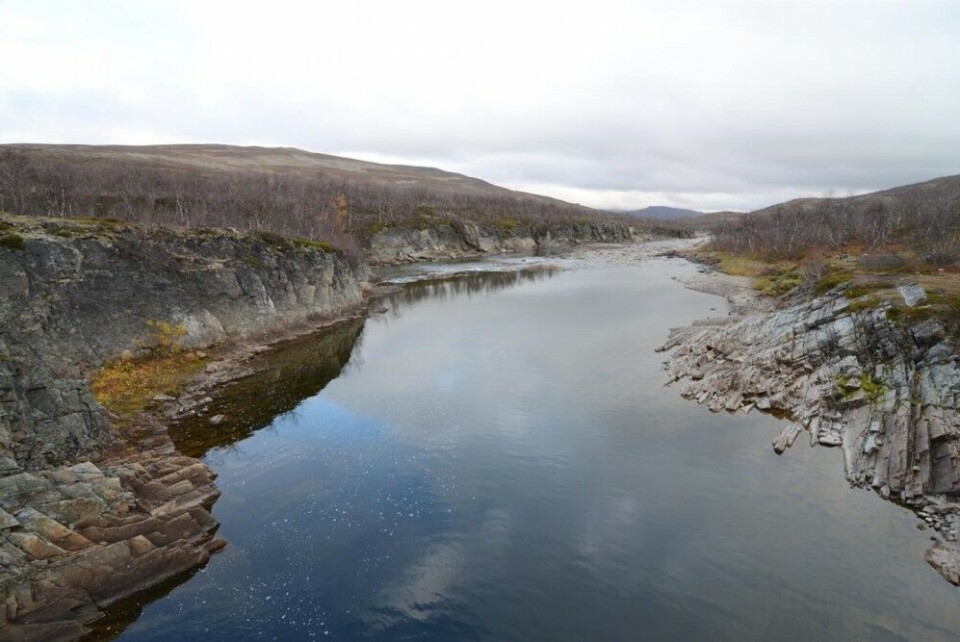 Reppardfjordelva er et nasjonalt laksevassdrag, og fjorden en nasjonal laksefjord. Hensikten da Stortinget vedtok å etablere nasjonale laksefjorder var å gi særlig viktige villaksstammer en forkjørsrett gjennom å forby menneskelige inngrep i fjordene som kan skade laksen. Reppardfjordelva er et nasjonalt laksevassdrag, og fjorden en nasjonal laksefjord. Hensikten da Stortinget vedtok å etablere nasjonale laksefjorder var å gi særlig viktige villaksstammer en forkjørsrett gjennom å forby menneskelige inngrep i fjordene som kan skade laksen.
