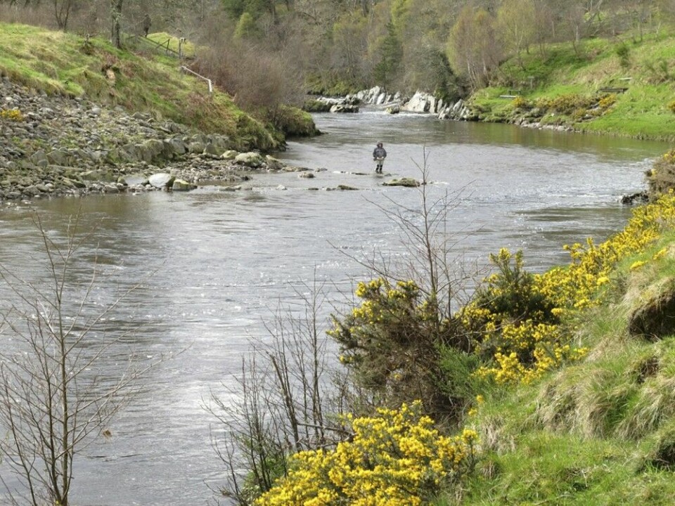 River Carron er vel verdt å prøve ved god vannføring.