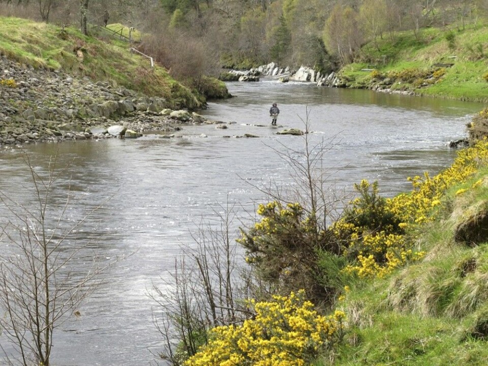 River Carron er vel verdt å prøve ved god vannføring. River Carron er vel verdt å prøve ved god vannføring.
