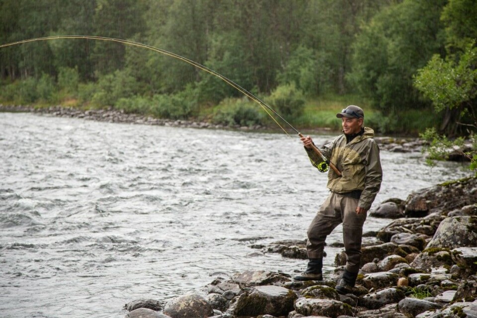 Stillingskrig. En storlaks har tatt flua og har parkert midt i stryket nedstrøms Joselvmunningen på sone 6. Stillingskrig. En storlaks har tatt flua og har parkert midt i stryket nedstrøms Joselvmunningen på sone 6.