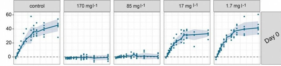 Taren sin oksygenproduksjon med stigande lysnivå og ulike lusemiddeldosar. Med dosen på 85 milligram døydde over halvparten av den eksponerte taren. Taren sin oksygenproduksjon med stigande lysnivå og ulike lusemiddeldosar. Med dosen på 85 milligram døydde over halvparten av den eksponerte taren.