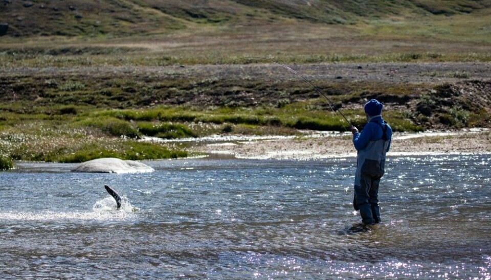 Vil åpne for fiske i 15 elver