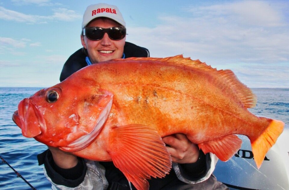 Øyvind Høier har sammen med fiskekameraten Kim-Erik Johansen gjort seg bemerket for sine fangster i Nord. Med Tromsø som hjemby og fiskemekka reiser de overalt der fisket er best etter forholdene. De er ofte på Sørøya, og spesielt er det stor uer, som denne på 8,3 kg, som er på ønskelista. Øyvind Høier har sammen med fiskekameraten Kim-Erik Johansen gjort seg bemerket for sine fangster i Nord. Med Tromsø som hjemby og fiskemekka reiser de overalt der fisket er best etter forholdene. De er ofte på Sørøya, og spesielt er det stor uer, som denne på 8,3 kg, som er på ønskelista.