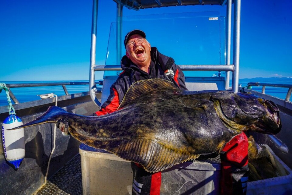 En av dem som har fisket fleste ganger på Sørøya er Geir Sivertzen, fiskeekspert og BFAS’ samarbeidspartner. Her poserer han med en røslig kveite på nesten 90 kg. Fisken ble tatt på sirkelkrok agnet med sei. Kveita fikk friheten tilbake etter å ha blitt fotografert. En av dem som har fisket fleste ganger på Sørøya er Geir Sivertzen, fiskeekspert og BFAS’ samarbeidspartner. Her poserer han med en røslig kveite på nesten 90 kg. Fisken ble tatt på sirkelkrok agnet med sei. Kveita fikk friheten tilbake etter å ha blitt fotografert.