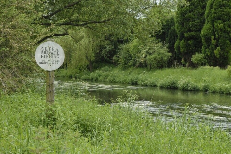 Her, på den ti kilometer lange Avon-strekningen til Services’ Dry Fly Fishing Association, var Frank Sawyer riverkeeper. Her, på den ti kilometer lange Avon-strekningen til Services’ Dry Fly Fishing Association, var Frank Sawyer riverkeeper.