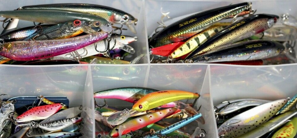 For å stimulere fiskens hørsel har mange produsenter laget lokkemidler med lyd. Wobblere med perler og kuler er et eksempel. Bruker du disse, vil du stimulere en ekstra sans hos fisken og derfor ofte øke sjansene for hogg. For å stimulere fiskens hørsel har mange produsenter laget lokkemidler med lyd. Wobblere med perler og kuler er et eksempel. Bruker du disse, vil du stimulere en ekstra sans hos fisken og derfor ofte øke sjansene for hogg.