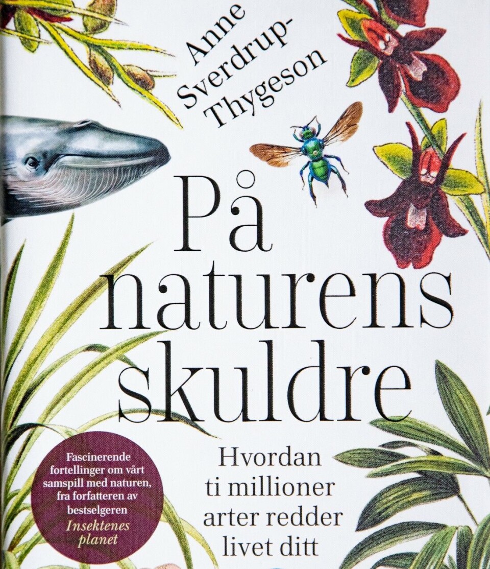 Årets viktigste bok