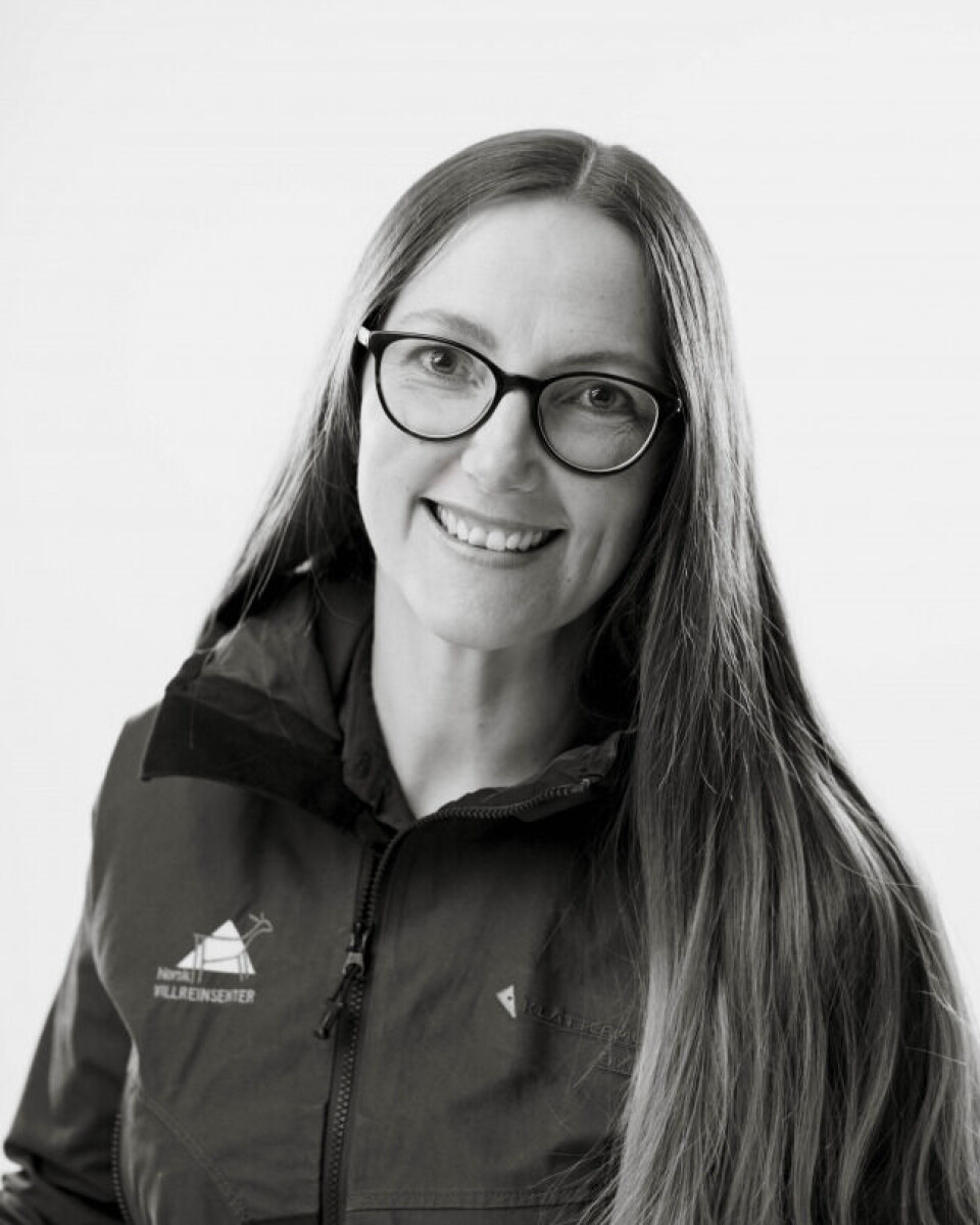 – Vindkraftutbygging innenfor villreinens leveområder er uforenlig med vårt internasjonale ansvar for villreinen, sier daglig leder Marianne Singsaas ved Norsk villreinsenter sør. – Vindkraftutbygging innenfor villreinens leveområder er uforenlig med vårt internasjonale ansvar for villreinen, sier daglig leder Marianne Singsaas ved Norsk villreinsenter sør.