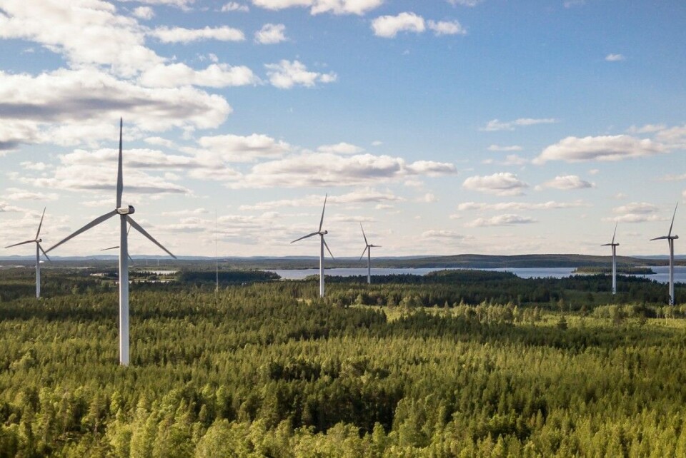 Miljø- og friluftsorganisasjoner vil bli hørt i vindkraftsaker