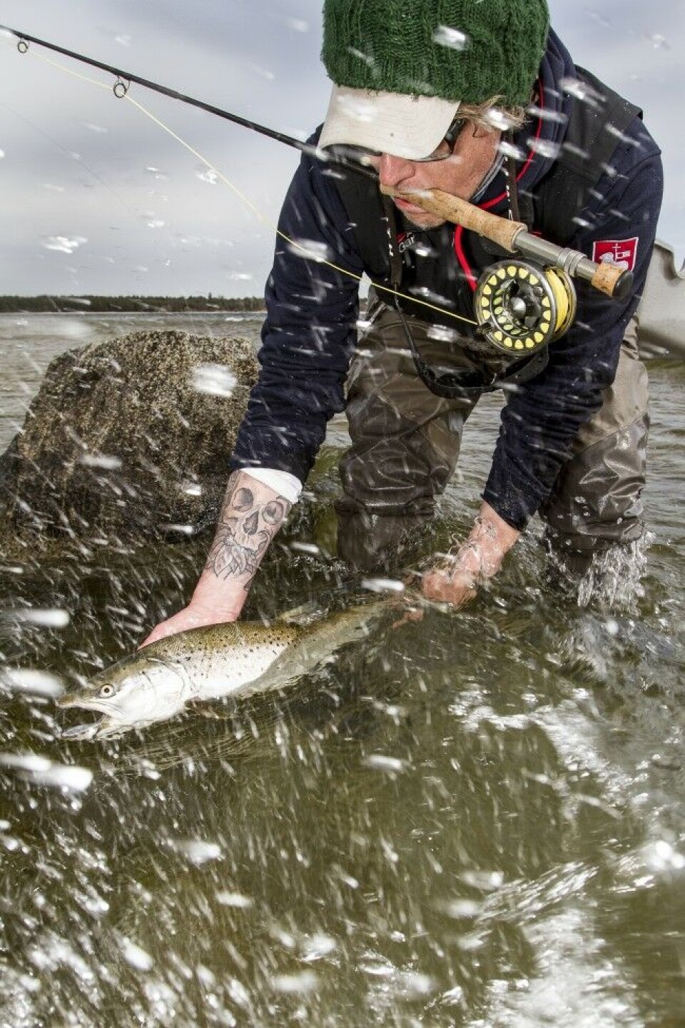 Rekefluer og lange streamere er sikre valg. Her gir Martin Ellingsen en to-kilos sjøørret friheten tilbake. Rekefluer og lange streamere er sikre valg. Her gir Martin Ellingsen en to-kilos sjøørret friheten tilbake.